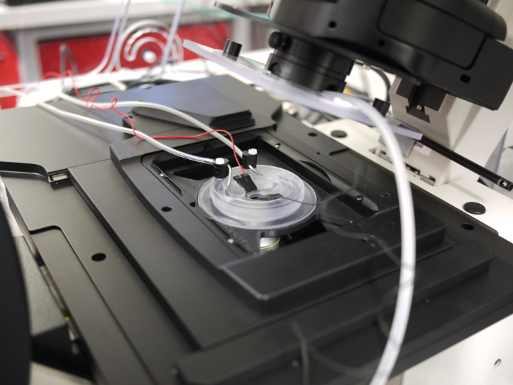 Researchers at the University of Wollongong used FDM and PolyJet 3D printing technologies to build different parts of this watertight and airtight perfusion chamber in a microscope.
