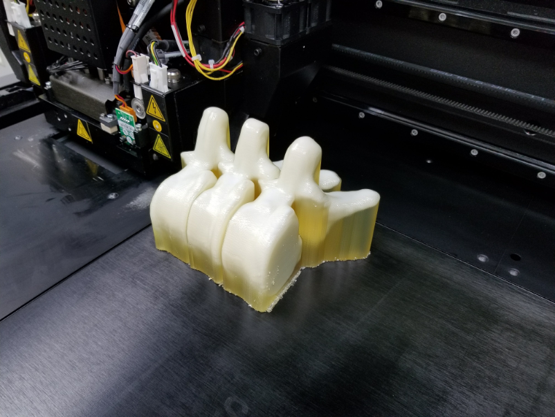 3D printed vertebrae for testing.