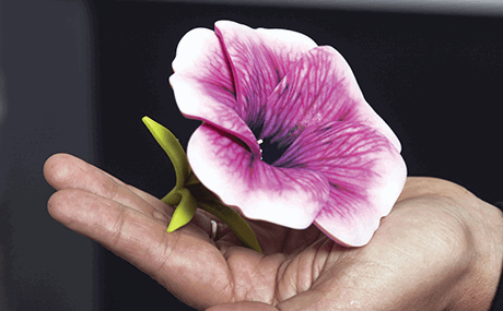 {33AAD13D-4B81-409C-B202-07A93AB4C457}/