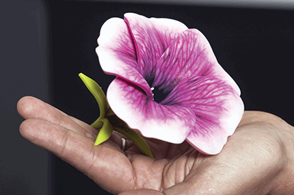 {33AAD13D-4B81-409C-B202-07A93AB4C457}/