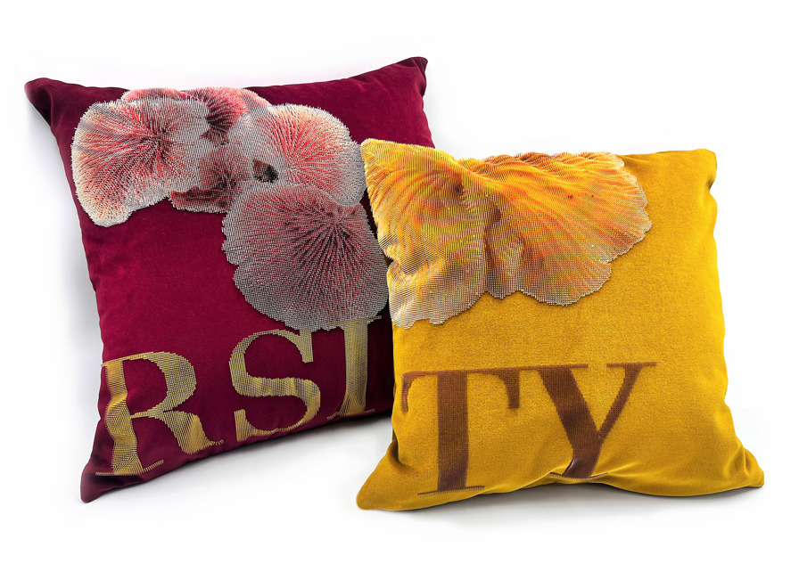 The ‘Biodiversity’ collection