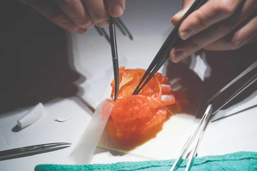 Surgeons practice suturing on a Stratasys advanced medical models 3D printed heart model.