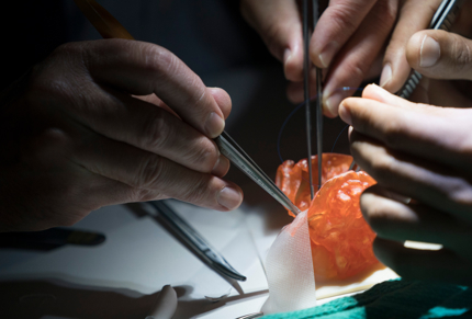 8daf96b8e8633c52421d5ef71bbbb42bf49b0dc3