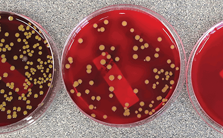 {4CFDC0F1-0E00-40DD-88A5-5C1EF087FD25}/