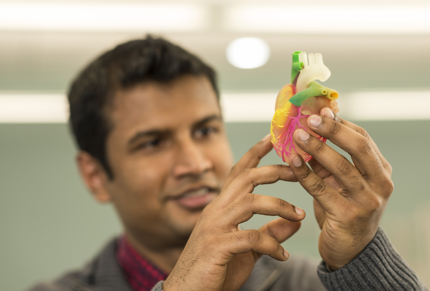 rapidproto medical 500 mq