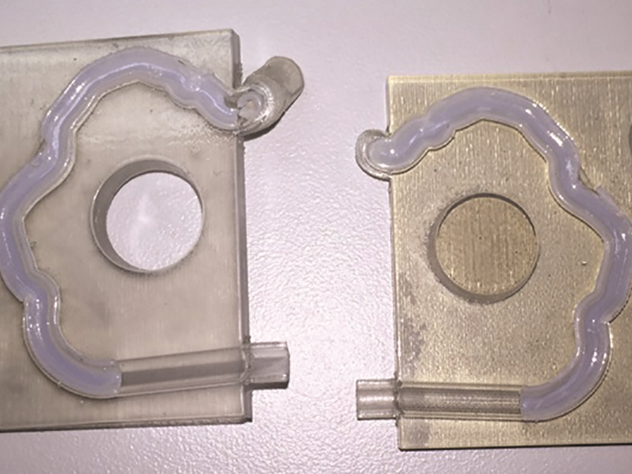 Anatomical model mold