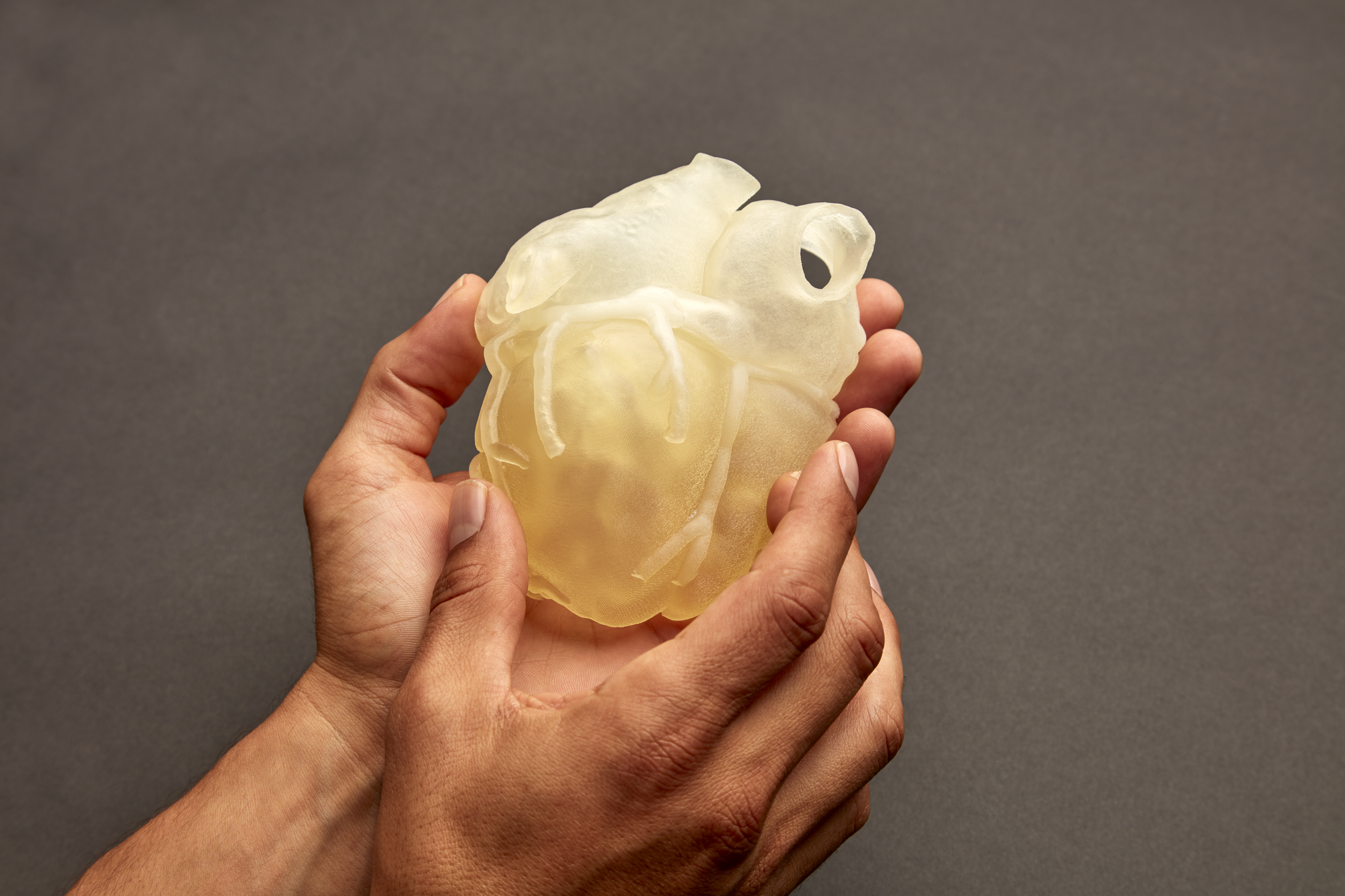 3D heart medical polyjet samples