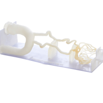 neuro vascular DAP 3d Print