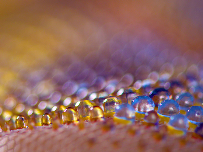 3DFashion Design by Travis Fitch