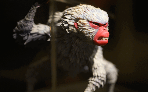 Mono de “Kubo y las dos cuerdas mágicas”, el cuarto largometraje de LAIKA.