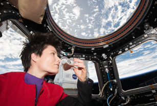 Image courtesy of IRPI / NASA