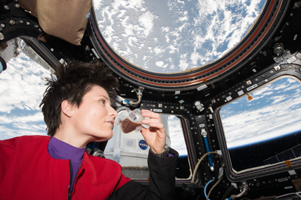 Image courtesy of IRPI / NASA