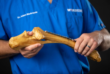 3D Printing VetMed Studio MCM 3140