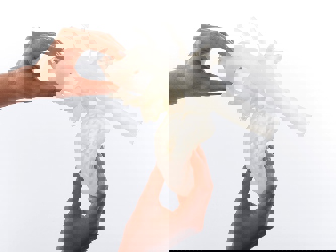 image gallery agilus30 heart