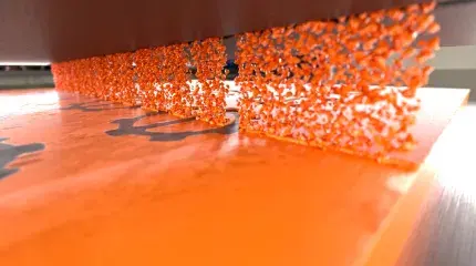 Mold Printing 1