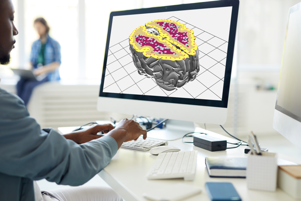 medical-digital-anatomy-creator