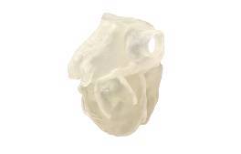 tissue-matrix-3d-printing-material