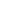 Car icon