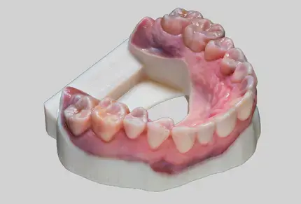 color-dental-model-printed