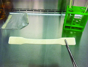 3d-printed-bone-model