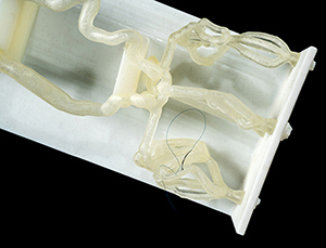 blood-vessel-suturing.