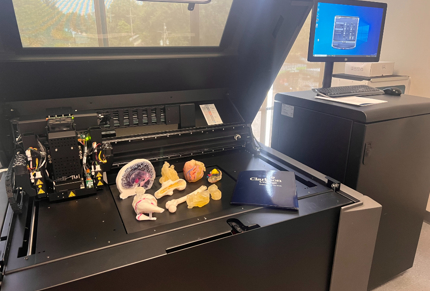 3d-printed-anatomical-models-on-tray.