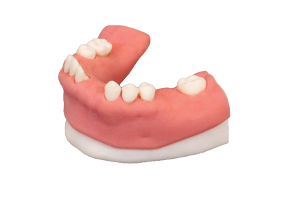 SYSS 3D printed anatomical jaw model