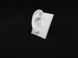 Ear_P3_