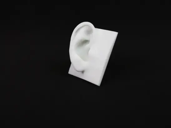 Ear_P3_