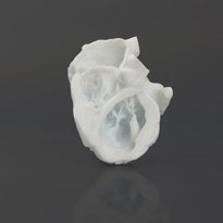 3D printed human heart using MED Silicone 25A