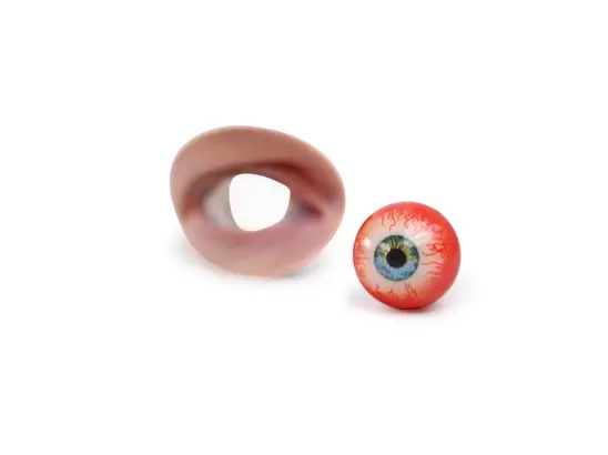 3d printed eyeball and eye socket