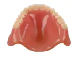 Embedded label on Stratasys TrueDent 3D printed dentures.