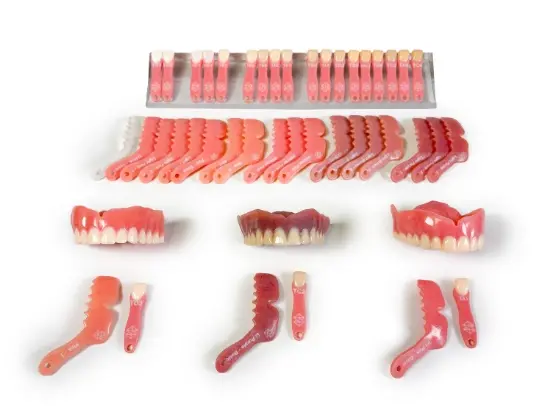 Stratasys TrueDent shade tab options.