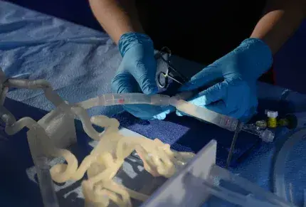 Complex vascular simulation with realistic 3D printed models