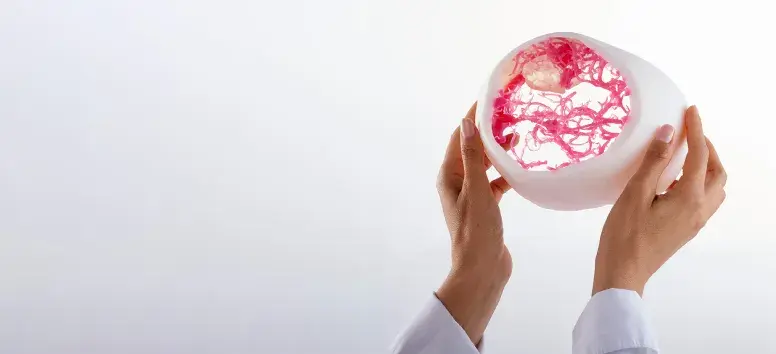 Pre-Surgical Planning