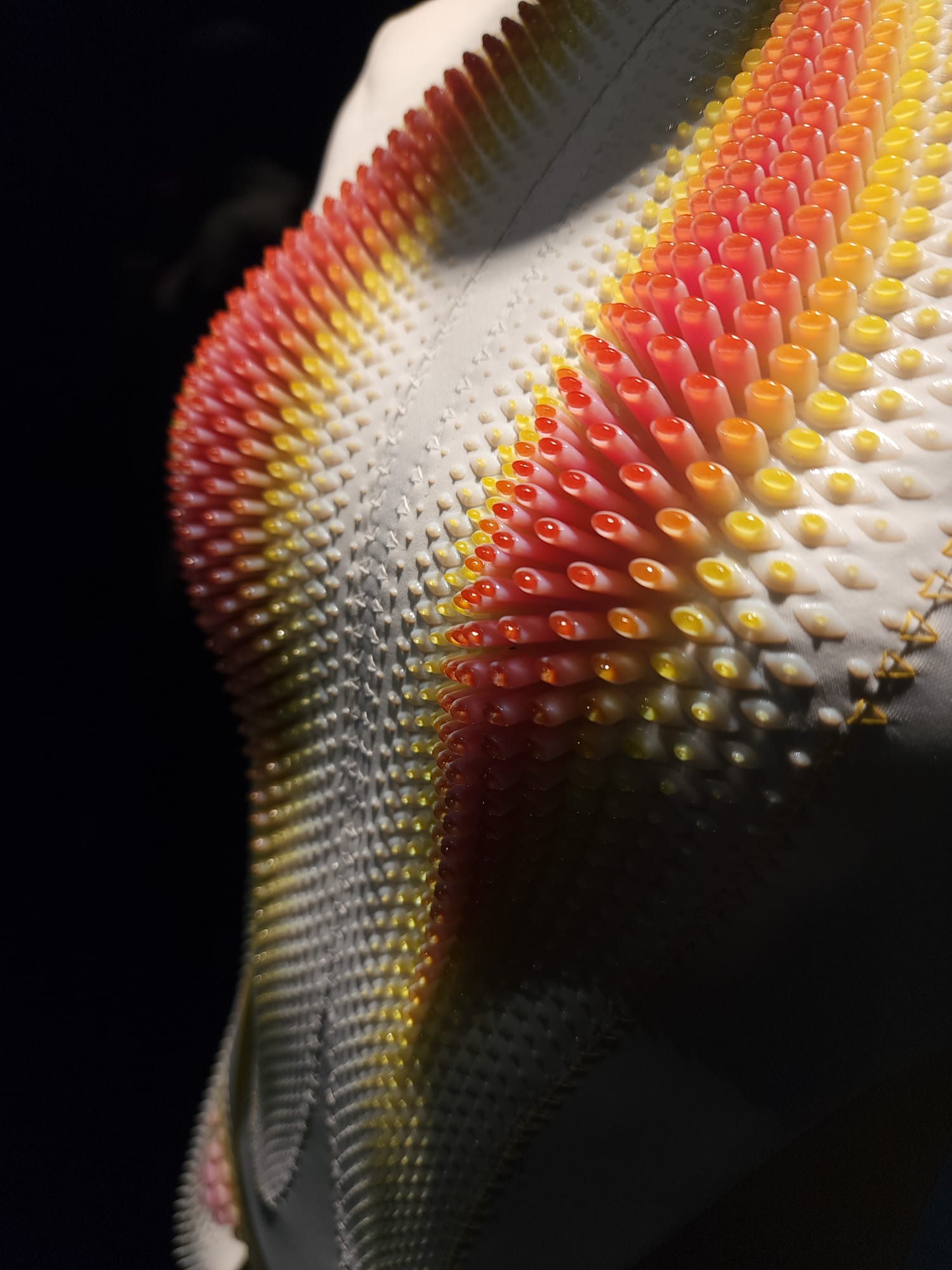 Design by Jasna Rok Lab