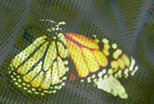 3D Fashion Butterflies