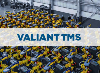 Valiant TMS Manufacturing with P3 Blog.