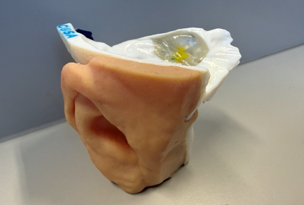 Stratasys 3D printed ear and eye medical model