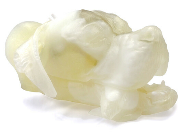 translucent 3d printed dog head by Stratasys PolyJet 3D printing technology