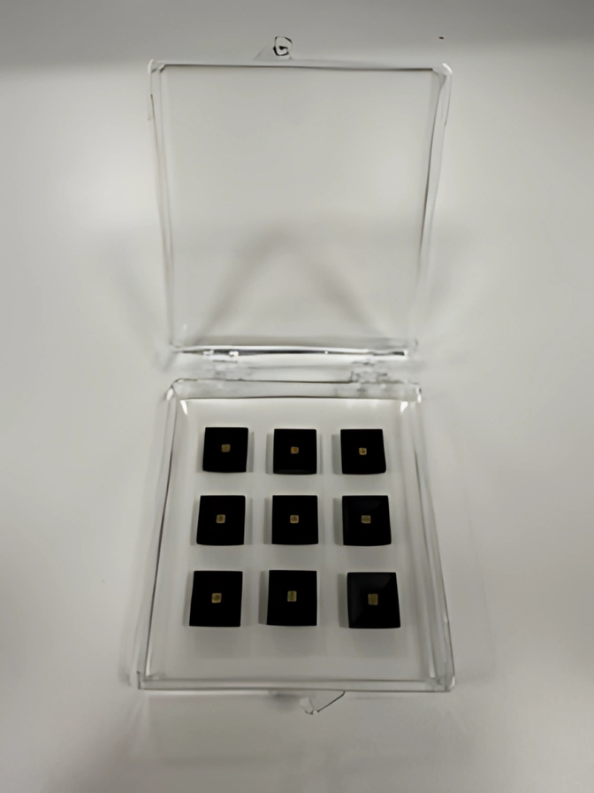 SERS chips in packaging