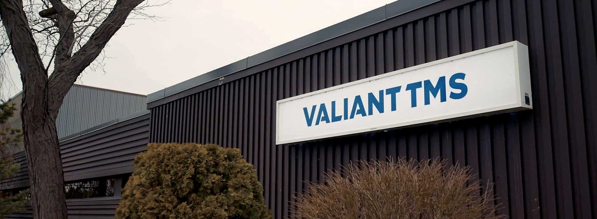 Valiant TMS provides a case study on Stratasys Origin One 3D printer.