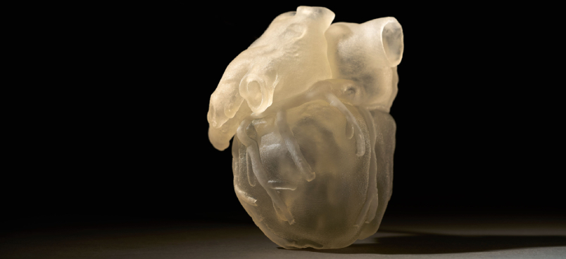 medtronic digital anatomy printer myocardium