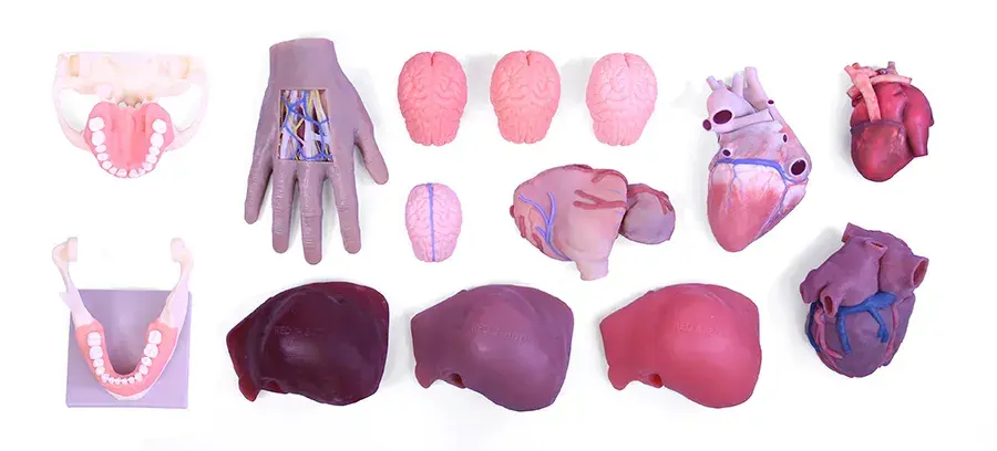 Soft Visual Anatomy Models for Medical 3D Printing