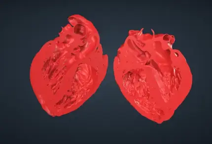 Deep TG 5CH VHL file image for 3d printing