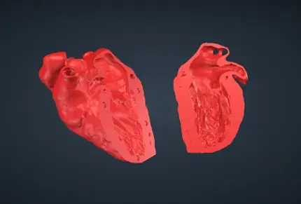 ME 2CH VHL file image for 3d printing