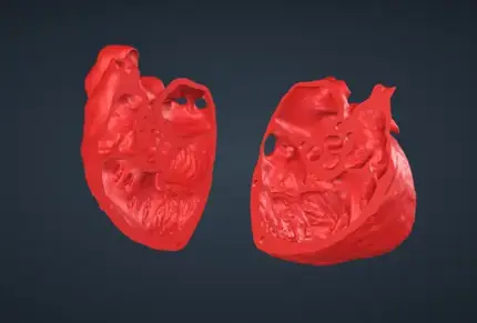ME AV SAX VHL file image for 3d printing