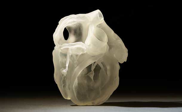 3D Printed Anatomical Model of Heart | Stratasys Direct