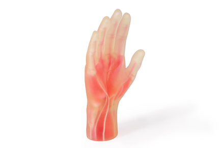 DAP anatomical hand 3d printing for medical