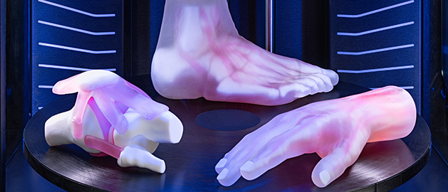 3 anatomical medical models 3d printed by Stratasys Direct on build tray